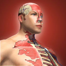 放置人类汉化最新版