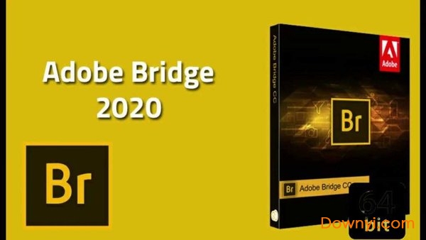 adobe bridge 2020文件资源管理软件最新版