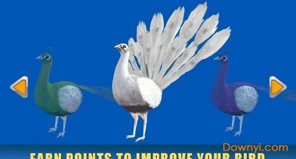 孔雀模拟器免费版 v1.0.0 安卓最新版 0