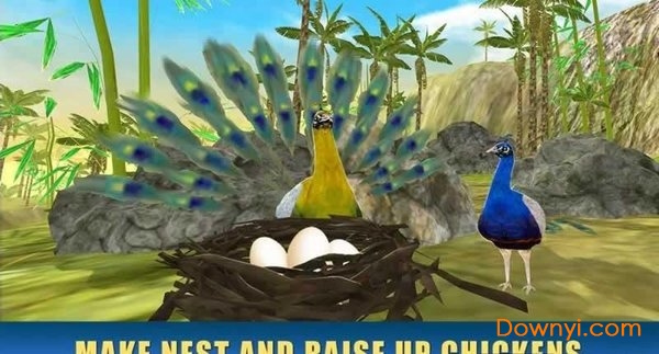 孔雀模拟器免费版 孔雀模拟器中文版下载