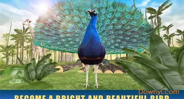 孔雀模拟器免费版 v1.0.0 安卓最新版 1