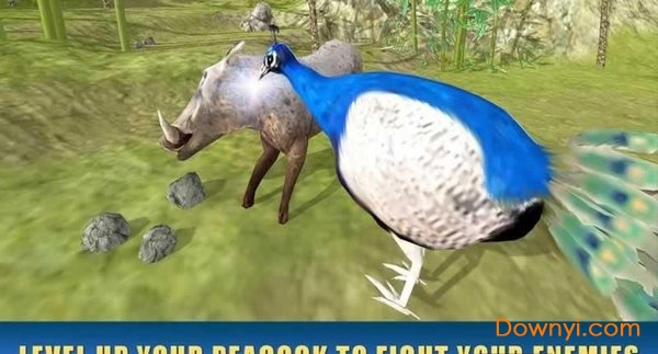 孔雀模拟器免费版 v1.0.0 安卓最新版 2