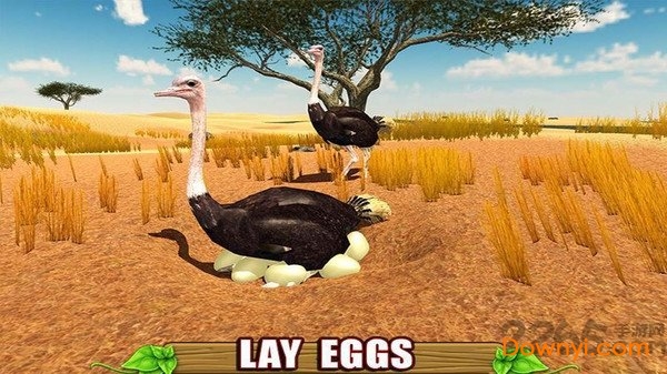 终极鸵鸟模拟器中文版 终极鸵鸟模拟器游戏下载