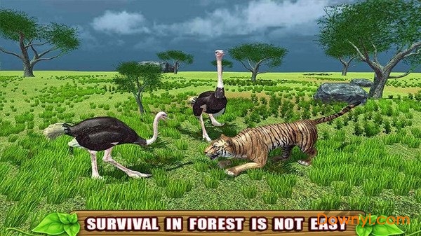 终极鸵鸟模拟器中文版 v1.0.0 安卓最新版 2