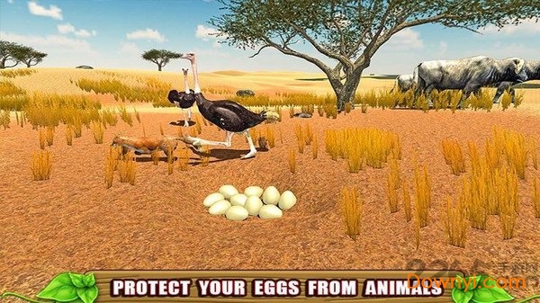 终极鸵鸟模拟器中文版 v1.0.0 安卓最新版 3