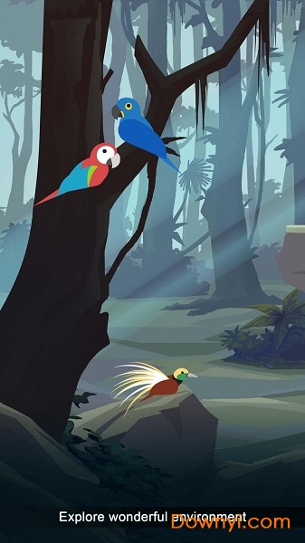 鸟的天堂手机版 v1.0.5 安卓中文版0