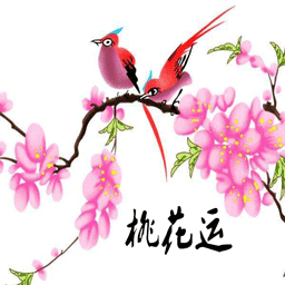 2022年桃花运测试