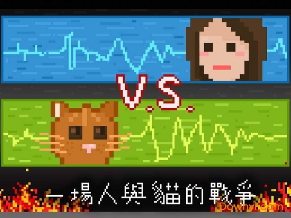 小笨猫官方版