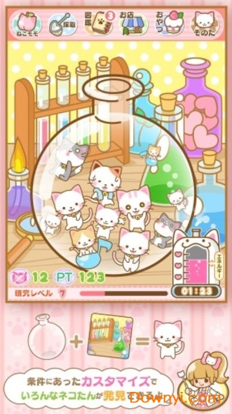 猫猫研究所官方版