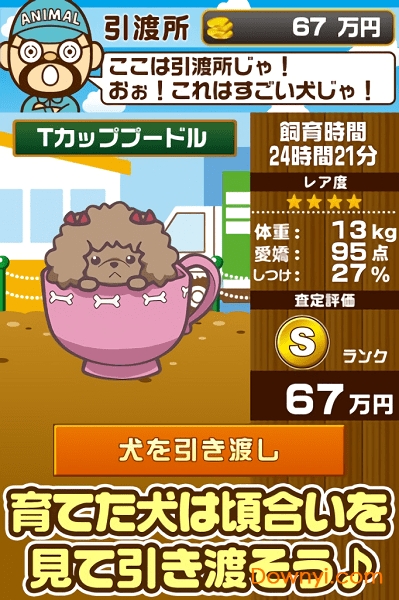 饲养狗狗官方版 饲养狗狗中文版