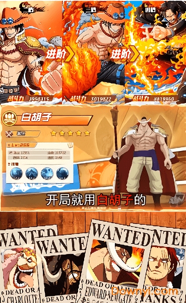 航海王激战风云游戏 v1.0 安卓版0