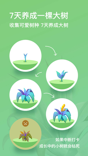 打卡森林平台 v2.0.0 安卓版2