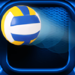 国际排球大赛中文版