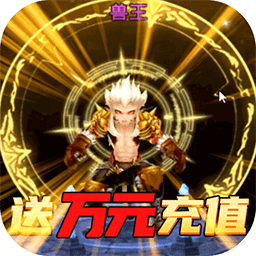 暗黑之光九游手游