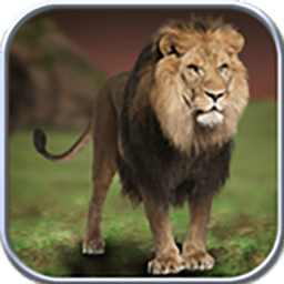 野生狮子模拟器手机版