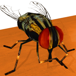 苍蝇模拟器手机版