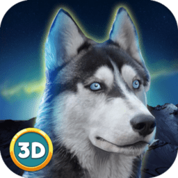 哈士奇3d模拟游戏