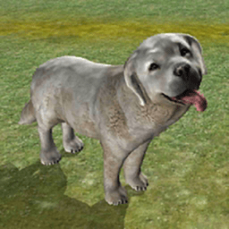 牧羊犬模拟器游戏