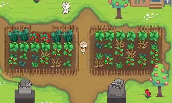 猫咪之森游戏 v1.1 安卓版2
