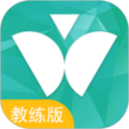 维尔驾服教练版下载