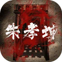 孙美琪疑案朱孝坤