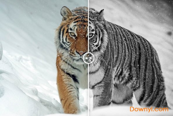 nik collection dxo中文版