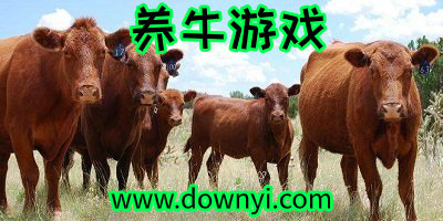 养牛游戏