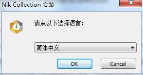 Nik Collection2019中文最新版