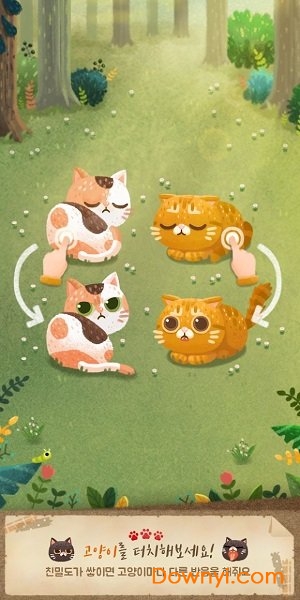 猫和秘密之森手游 v1.1.4 安卓版2