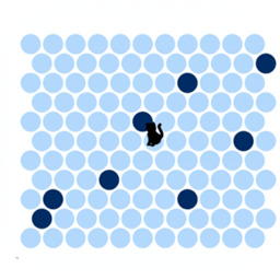 圈小猫游戏最新版