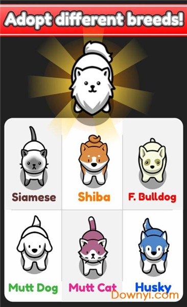 云养宠物手机版