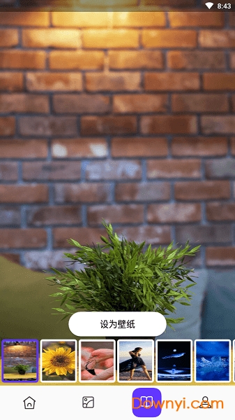 皮皮助手软件 v1.0.4 安卓版1