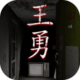 孙美琪疑案王勇