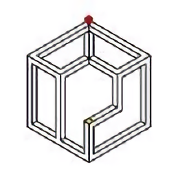 最强大脑若隐若现游戏