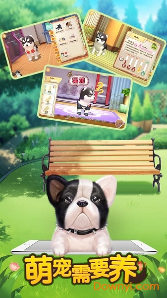 萌宠需要养免费版 v1.0 安卓版0