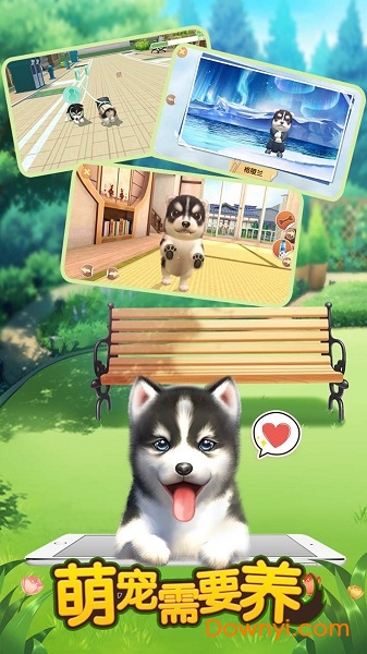 萌宠需要养免费版 v1.0 安卓版1