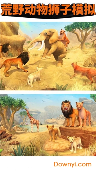 荒野动物狮子模拟手机版 v1.0.1 安卓版2