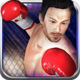 功夫之夜正式版