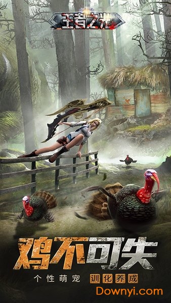 王者之光果盘版