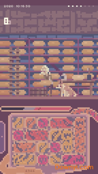 肾脏的夏天手游 肾脏的夏天游戏(renal summer)