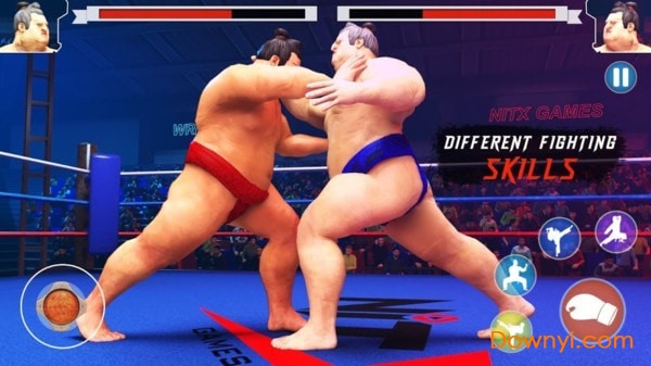 日本相扑赛2022正式版 v1.4 安卓版2