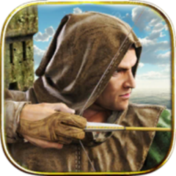 忍者武士刺客英雄6中文版