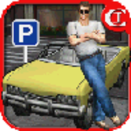 疯狂停车王3D游戏