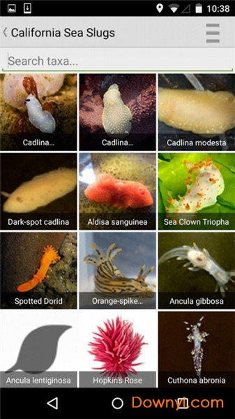 inaturalist app v1.18.5 安卓版2