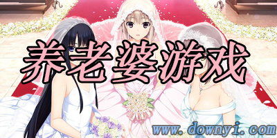 养老婆游戏