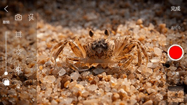 逐格光影官方版下载