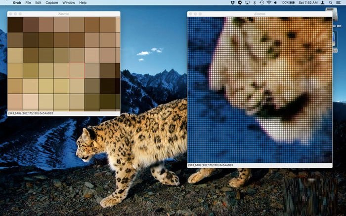 zoomin官方电脑版 pc版0