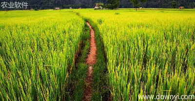 农业软件