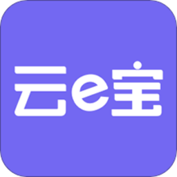 云e宝服装软件