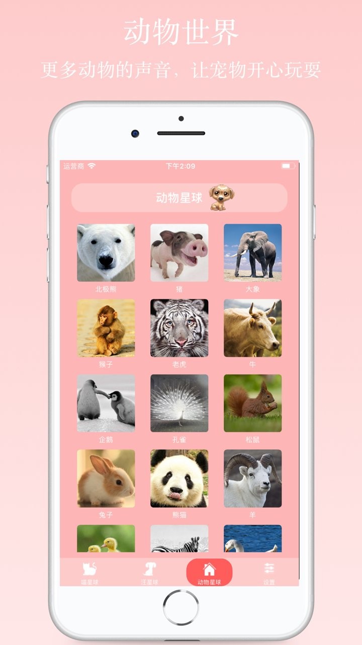 猫狗语翻译器中文版 v24 安卓免费版3